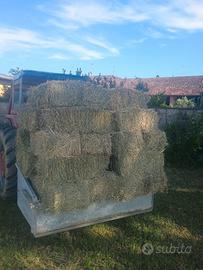 Fieno in ballette