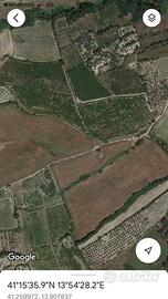 Terreno agricolo