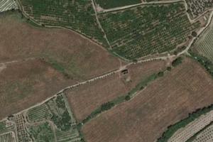 Terreno agricolo