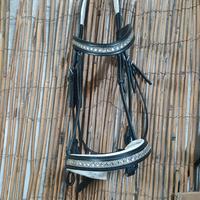 tesserino inglese per cavalli 