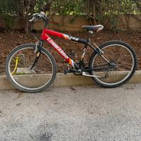Bici MTB Lombardo 24” – funzionante