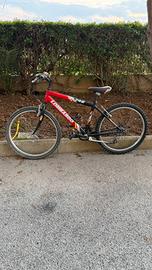 Bici MTB Lombardo 24” – funzionante