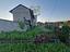 Immagine 9