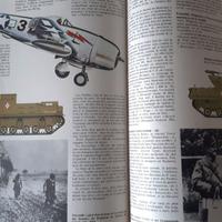 rivista seconda guerra mondiale luftwaffe del 1980