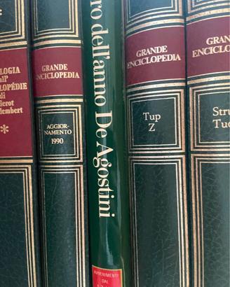 Enciclopedia de agostini.  21 volumi piu aggiornam