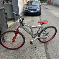 Bici Kawasaki