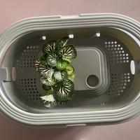 Tartarughiera vaschetta