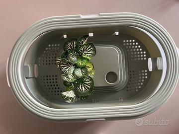 Tartarughiera vaschetta