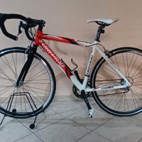 Bici da corsa Torpado