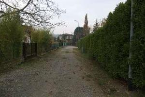 RGE 216/2016 Trib Pavia