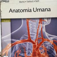 Libro Anatomia Umana Martini Nath