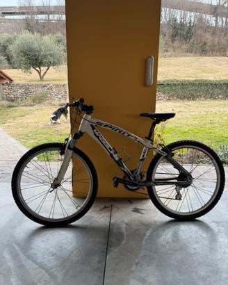 Bici MTB Maddiline mountain Spirit v21