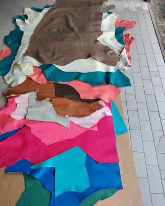 pelle colorata 