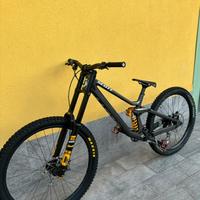 Scott gambler custom 2022