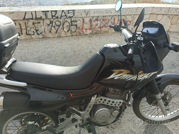 Honda Dominator RD08