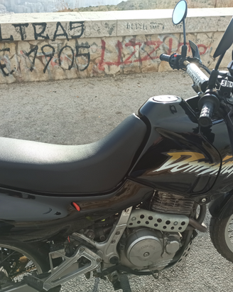 Honda Dominator RD08