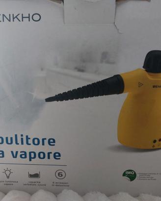Pulitore a vapore
