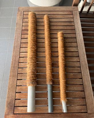 Bastoni tutori muschiati per piante (3 pezzi)