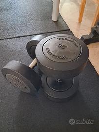 manubri technogym 