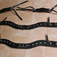 PETTORALE VARI MODELLI E COLORI 