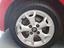 Immagine 16