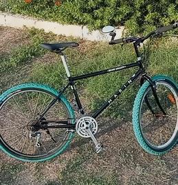 Marin Bear Valley Vintage / RaraVbrake basso