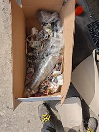 marmitta runner 180 2t