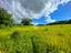 Immagine 12