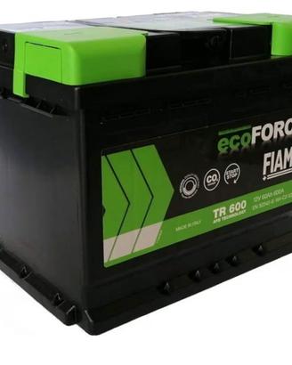 Batteria FIAMM 60Ah (Start & Stop)