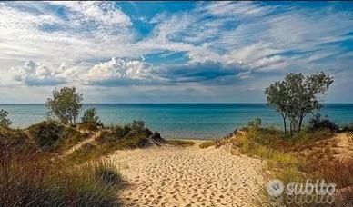 RIVA VERDE-MORTELLICCIO Villetta a 150 mt dal mare