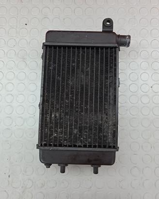RADIATORE DESTRO APRILIA TUONO 1000 2001 2005 RSV