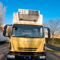 Iveco frigo 