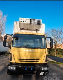 Iveco frigo 