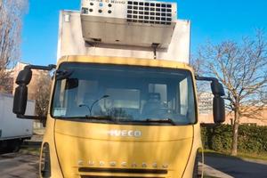 Iveco frigo 