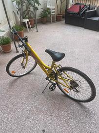 Bicletta