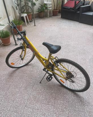 Bicletta