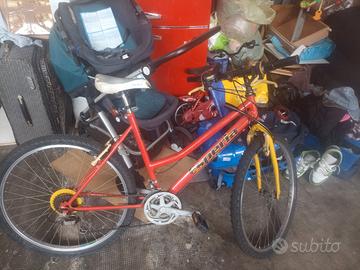 bici da uomo