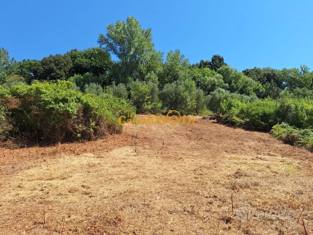 Terreno di 8000 m² a Fauglia - Vista 2