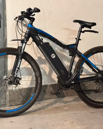 Bicicletta elettrica