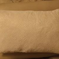 cuscino aloe vera nuovo 