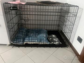 Kennel