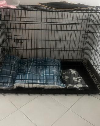 Kennel