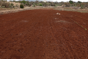 Terreno 3000 mq