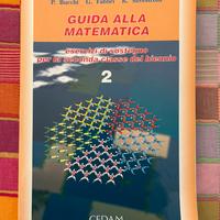 Guida alla matematica 2 - Bucchi / Fabbri / Silve.