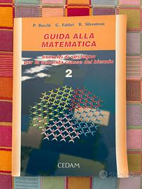 Guida alla matematica 2 - Bucchi / Fabbri / Silve.