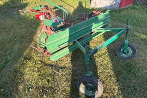 Ranghinatore Rapid