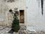 Immagine 23