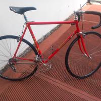 MASI 3V