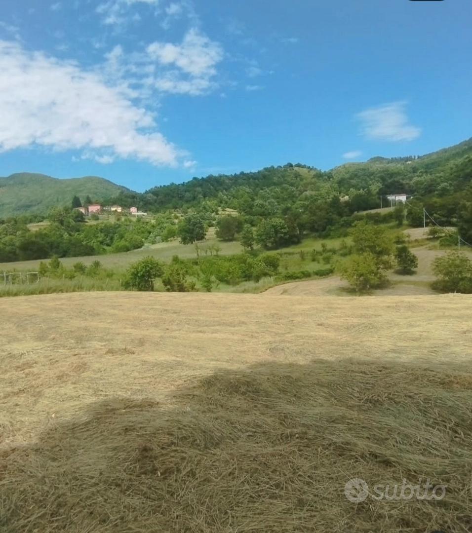 Rustico con 12ettari terreno - Vista 2