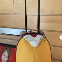 Trolley valigia bambino samsonite